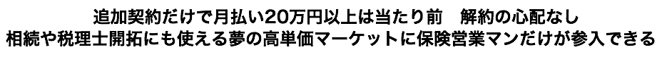  追加契約だけで月払い20万円以上は当たり前　解約の心配なし 相続や税理士開拓にも使える夢の高単価マーケットにFPだけが参入できる